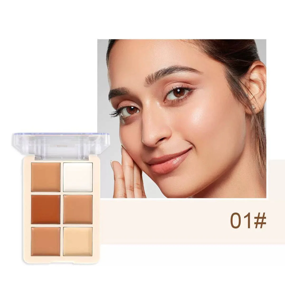 MSYAHO Professional 6 Color Natural Concealer Palette - Image 2