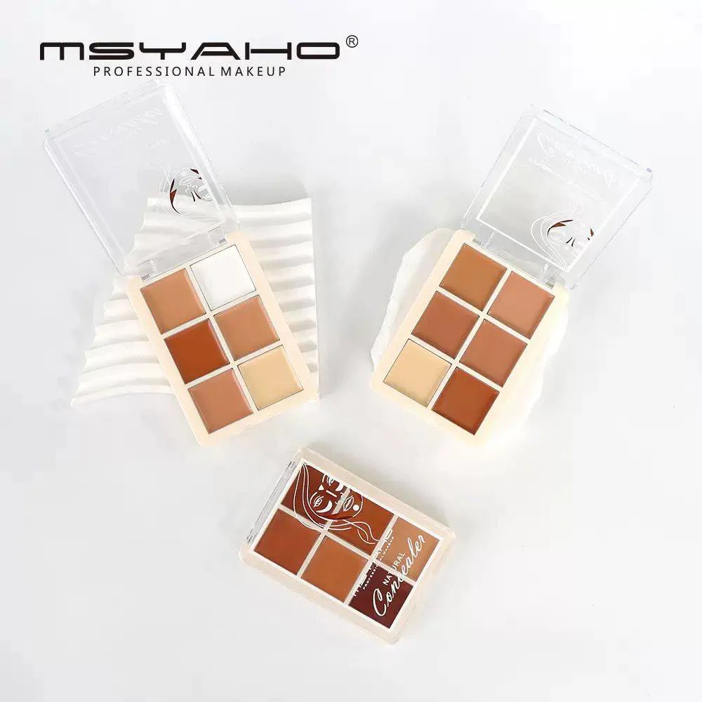 MSYAHO Professional 6 Color Natural Concealer Palette - Image 6